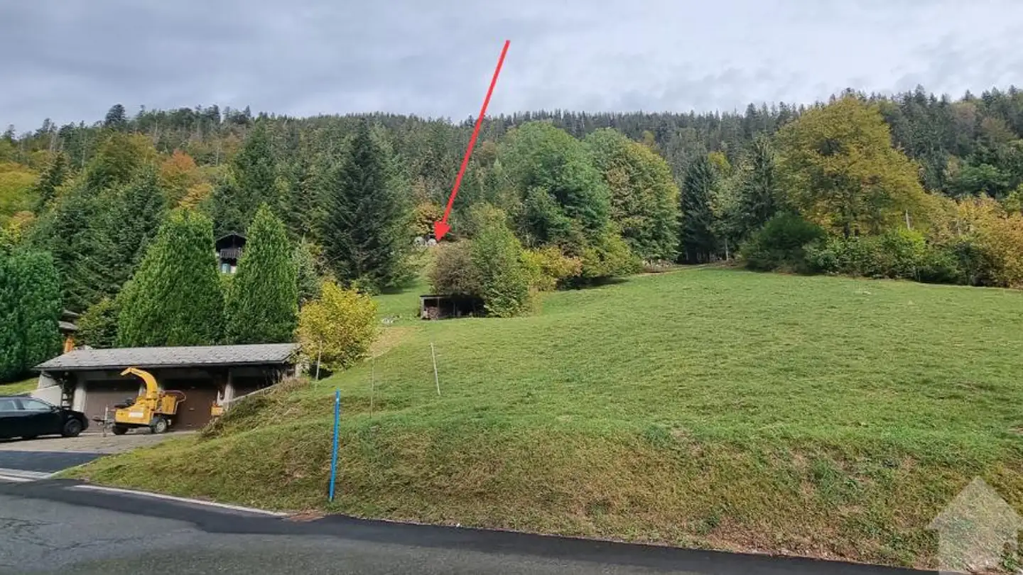 Terrain constructible à vendre - Chemin De La Cheurgne 31, 1899 Torgon