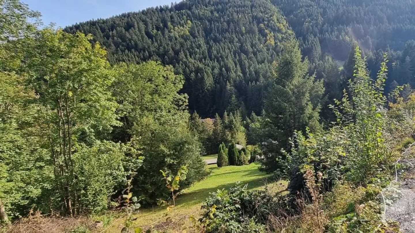 Constructible plot for sale - Chemin De La Cheurgne 31, 1899 Torgon - Photo 2