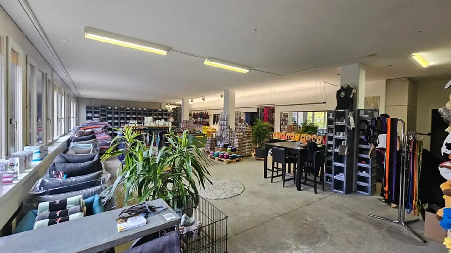 Commercial for rent - Industriestrasse 37, 3178 Bösingen