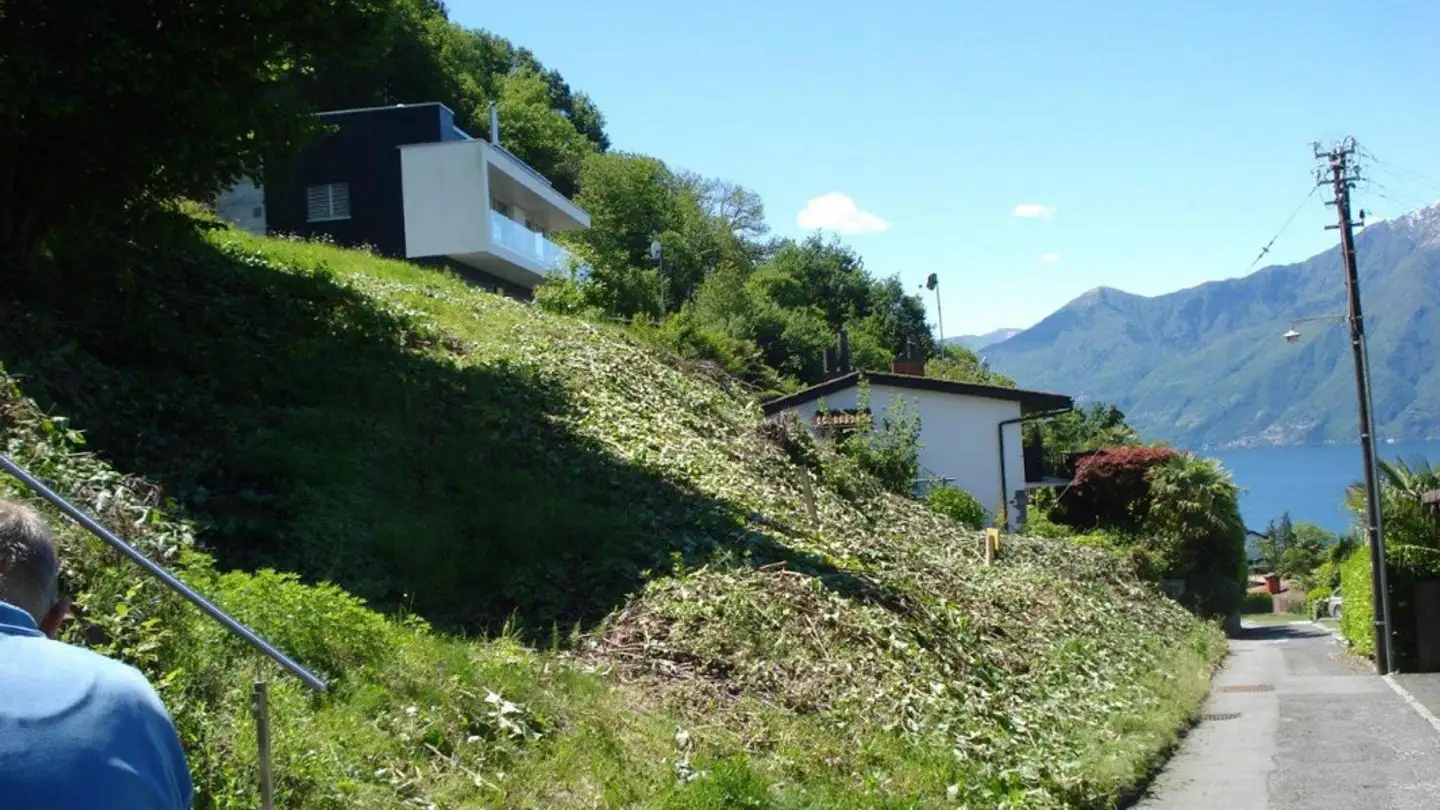 Bauland kaufen - 6576 Gerra (Gambarogno)