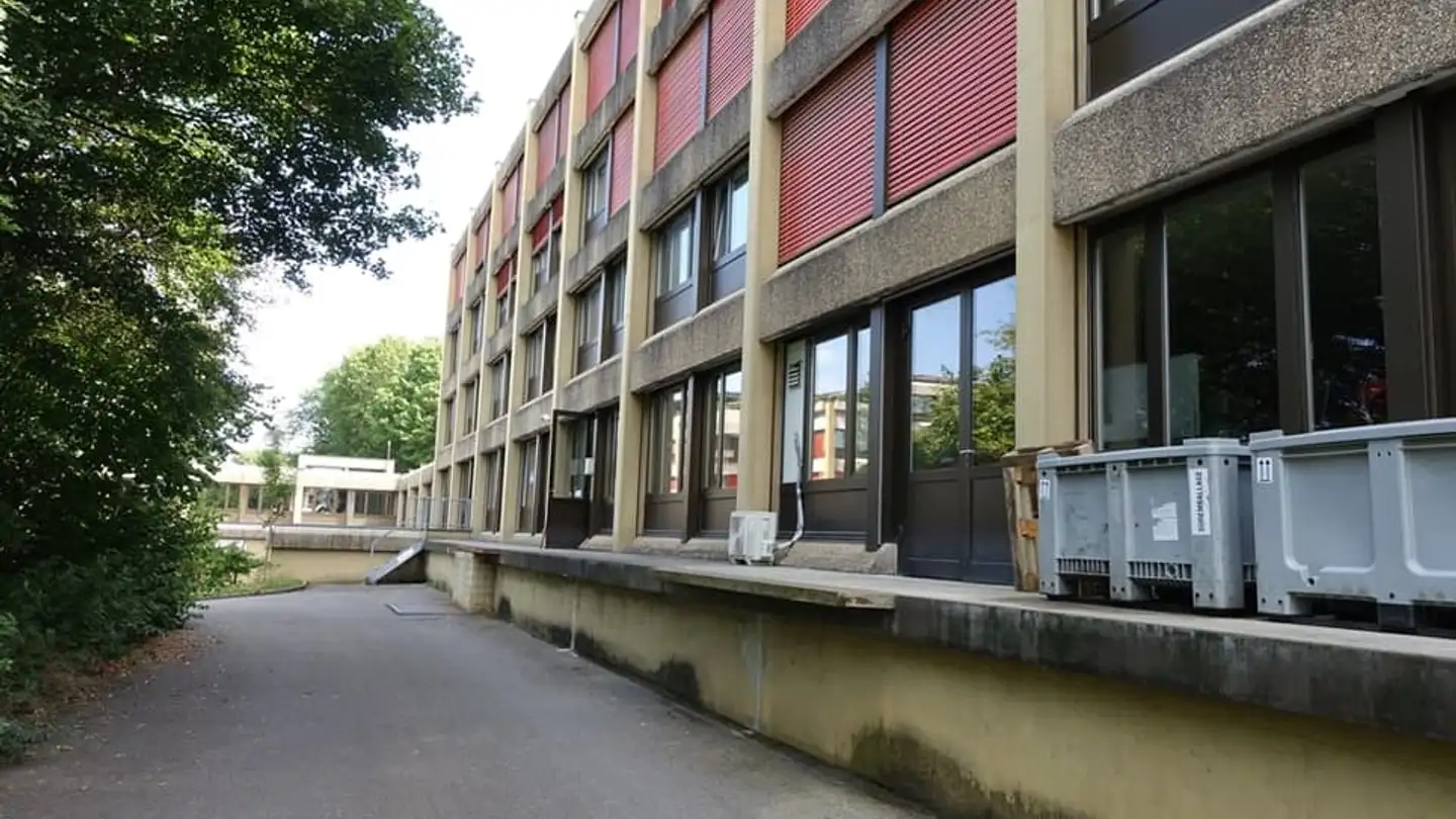 Commerciale in affitto - Industriestrasse 37, 3178 Bösingen - Photo 2