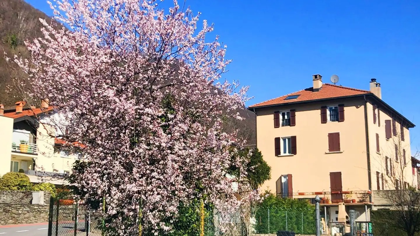 Attic flat for sale - 6930 Bedano