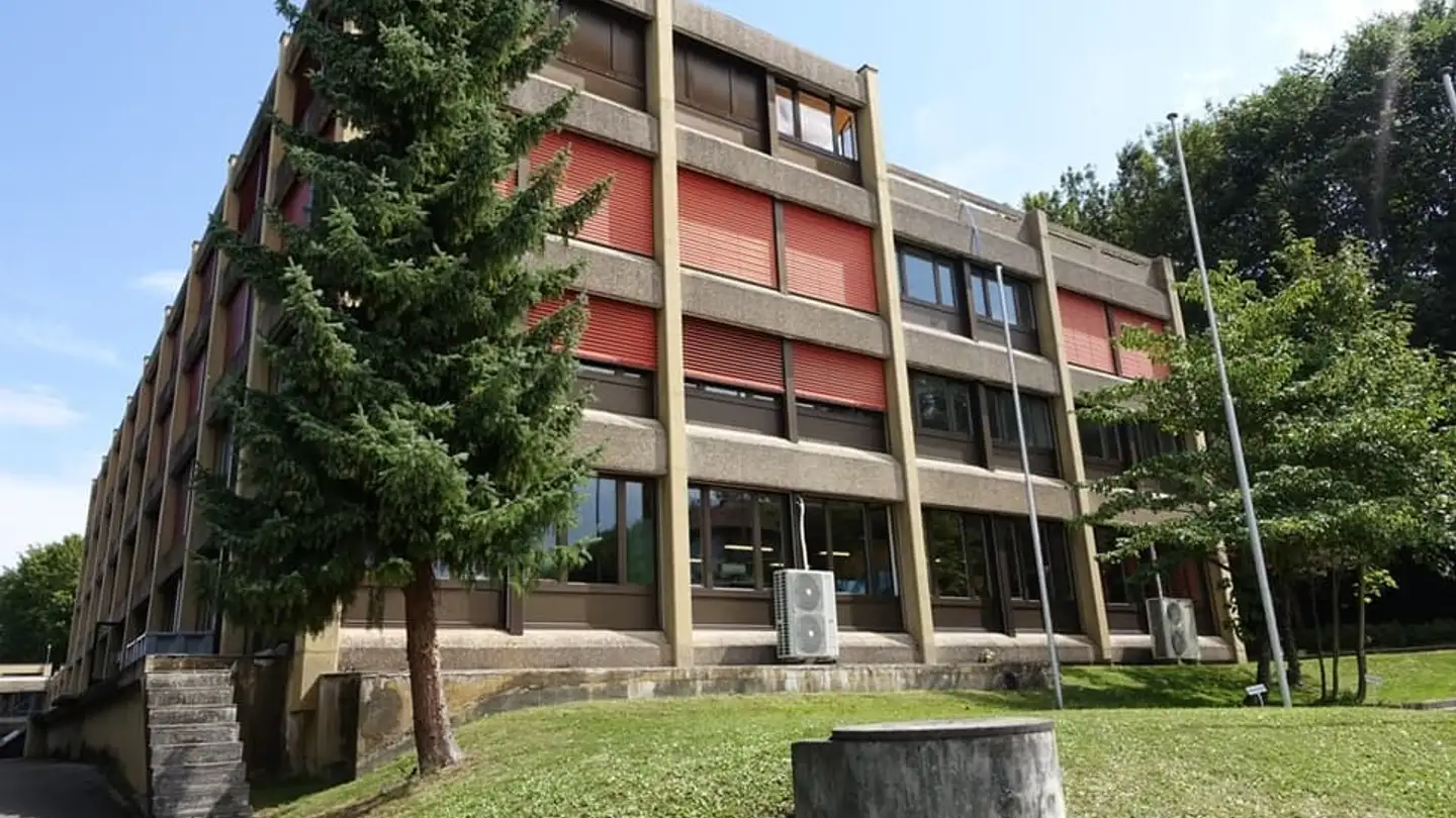 Commerciale in affitto - Industriestrasse 37, 3178 Bösingen - Photo 3