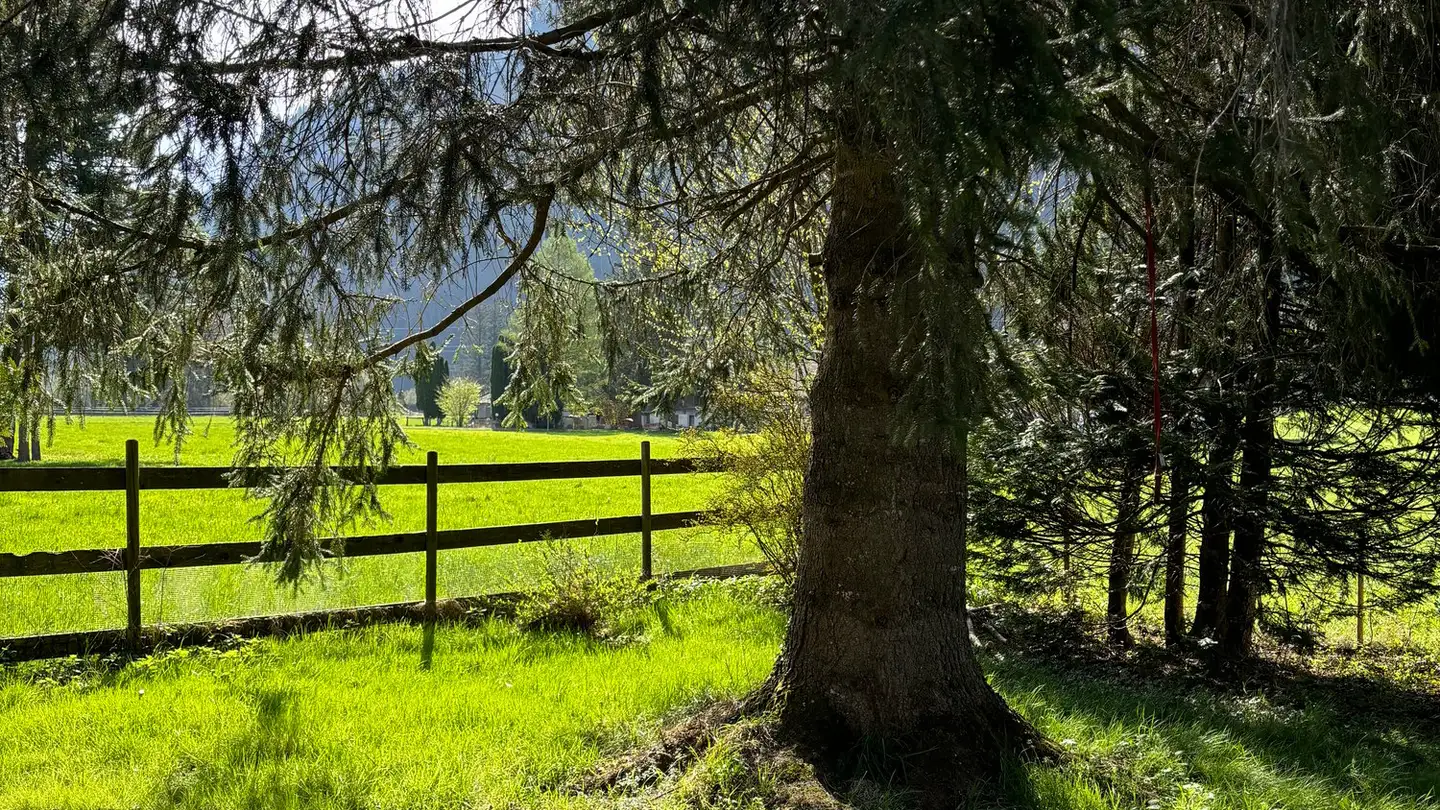 Einfamilienhaus kaufen - 3860 Meiringen - Foto 3