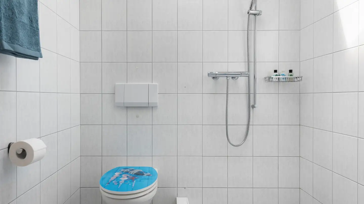 Attico in affitto - Alte Hauptwilerstrasse 2, 9220 Bischofszell - Foto 3