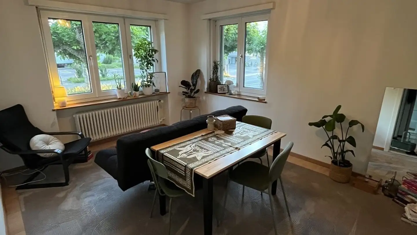 Appartamento in affitto - 8400 Winterthur