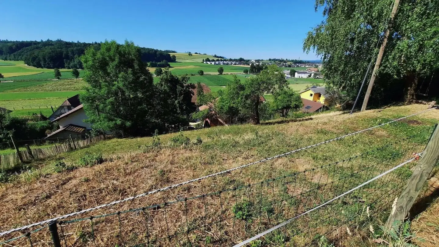 Terrain constructible à vendre - 3423 Ersigen - Photo 3