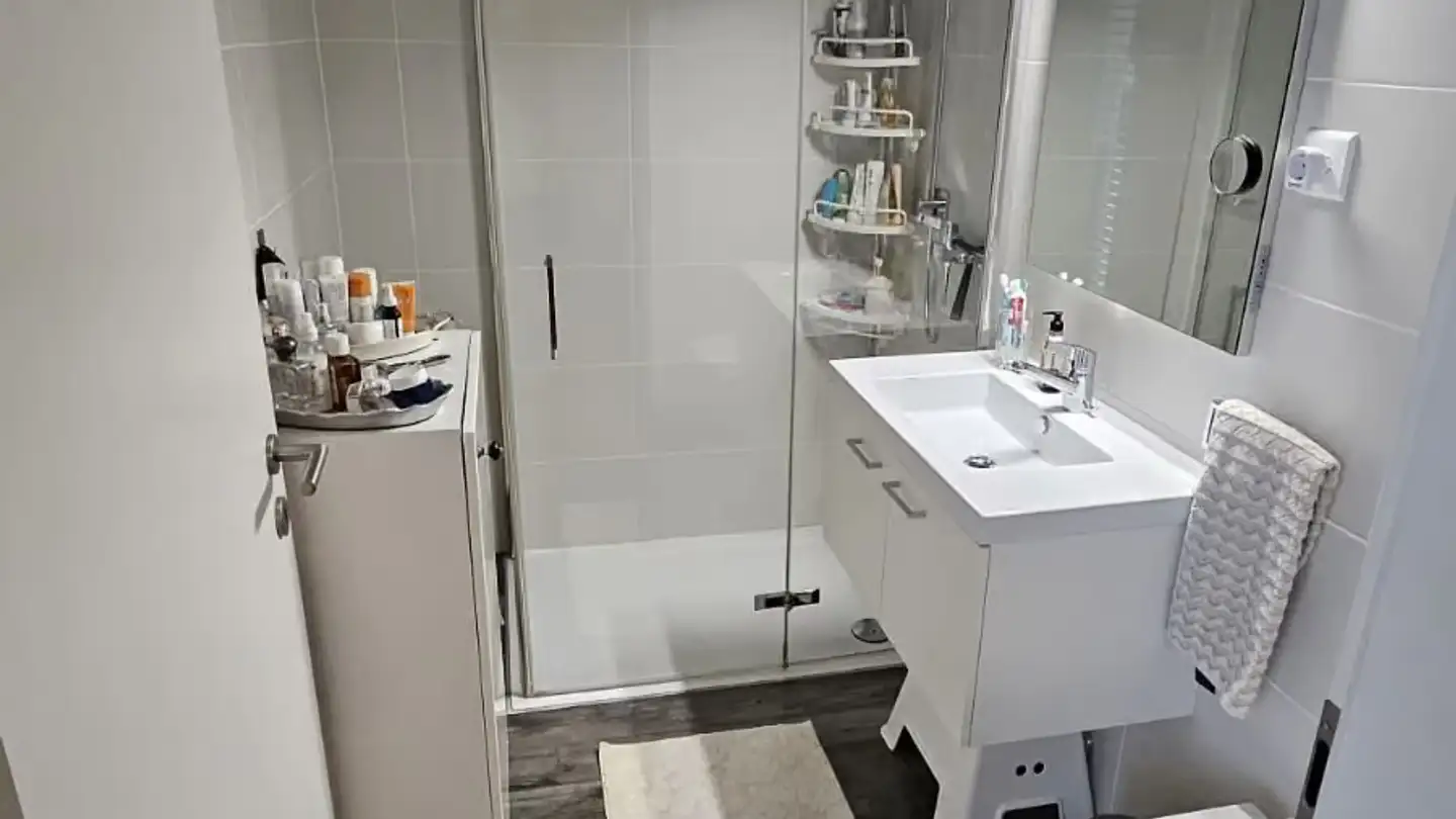 Apartment for rent - Rue De Moillebeau, 1209 Genève - Photo 3