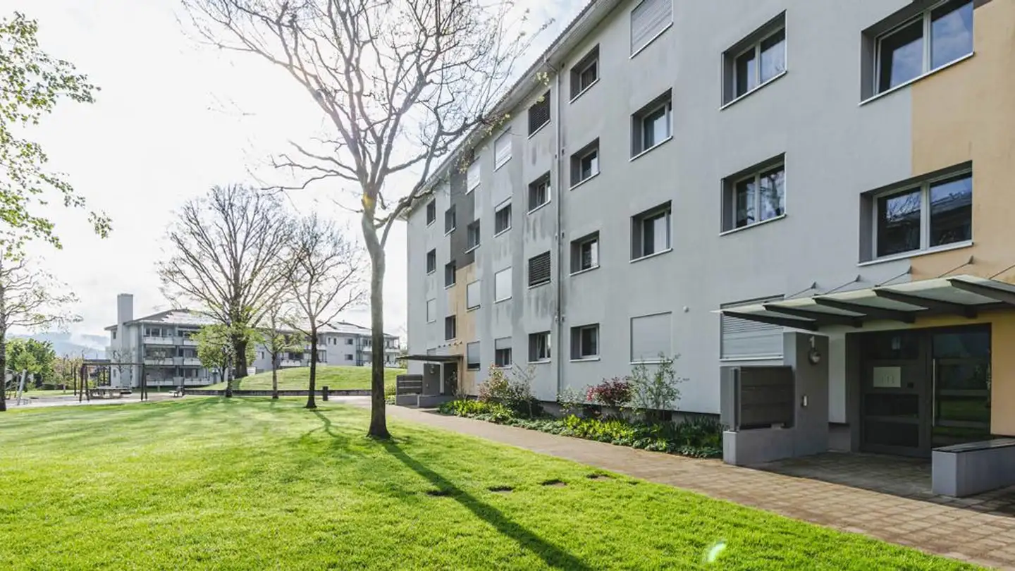 Appartement à louer - Hardmattenweg 1, 4802 Strengelbach