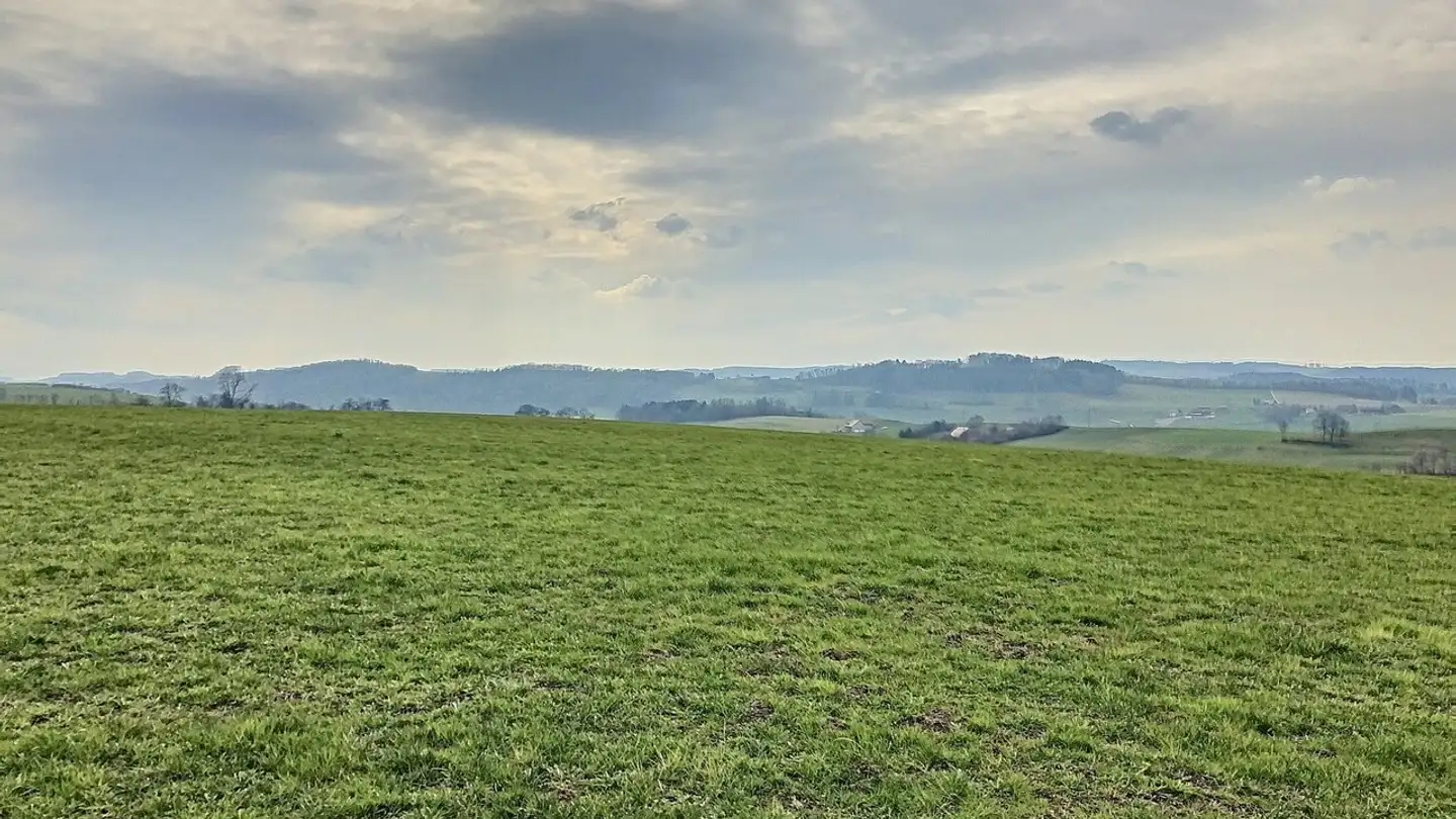 Appartement à louer - Route De Moudon 45, 1670 Ursy