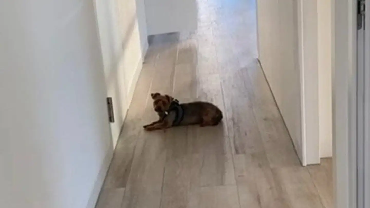 Appartamento in affitto - 1815 Clarens - Foto 3