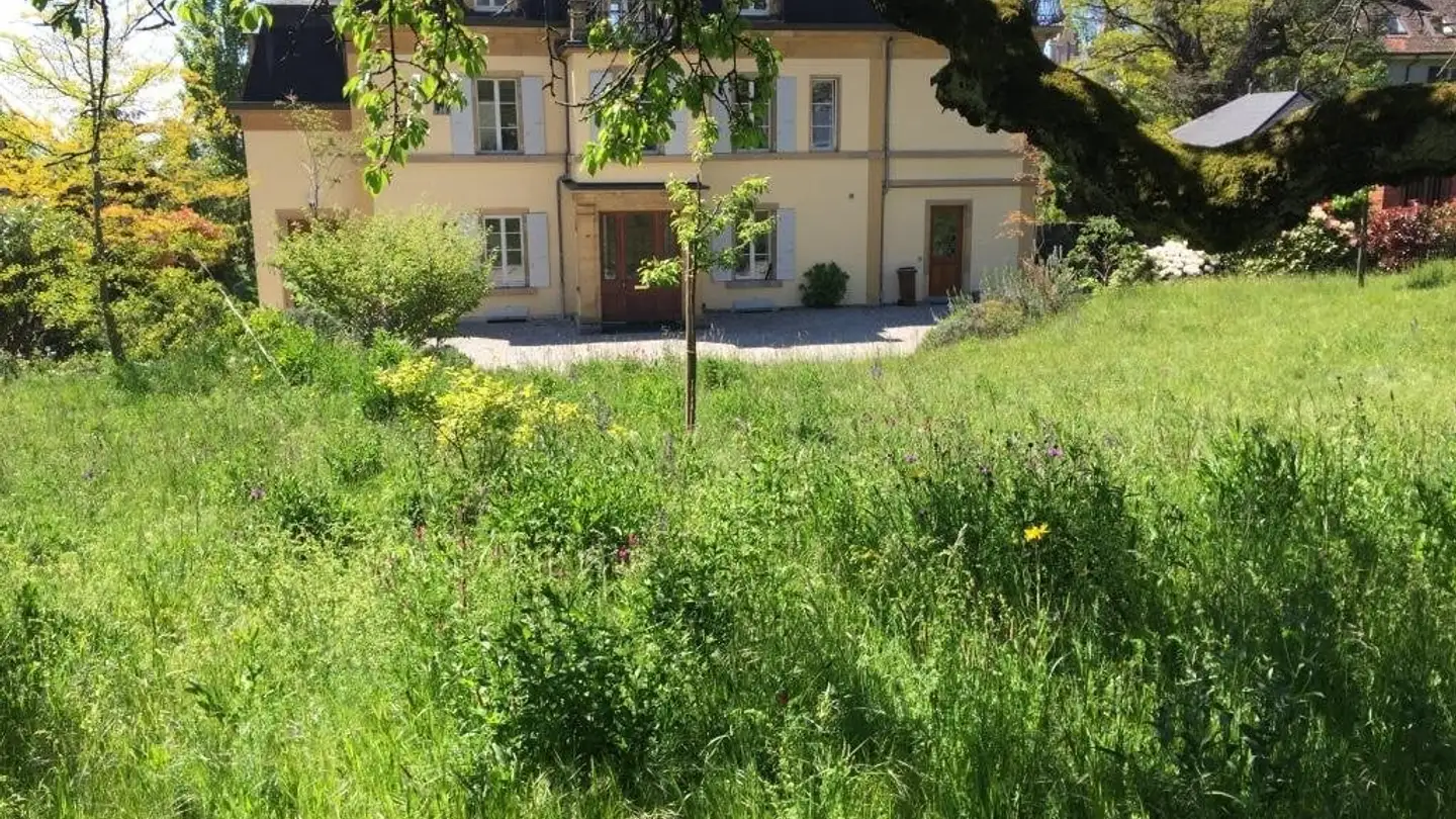 Appartamento in affitto - Chaussée de la Boine 27, 2000 Neuchâtel