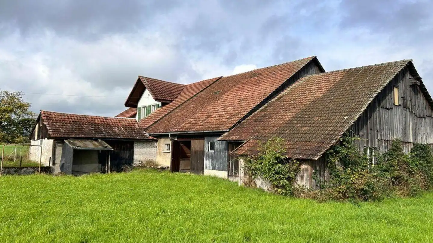 Ferme à vendre - Werdstrasse 36, 4623 Neuendorf - Photo 2