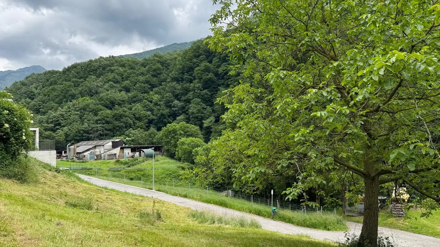 Constructible plot for sale - 6810 Isone - Photo 3