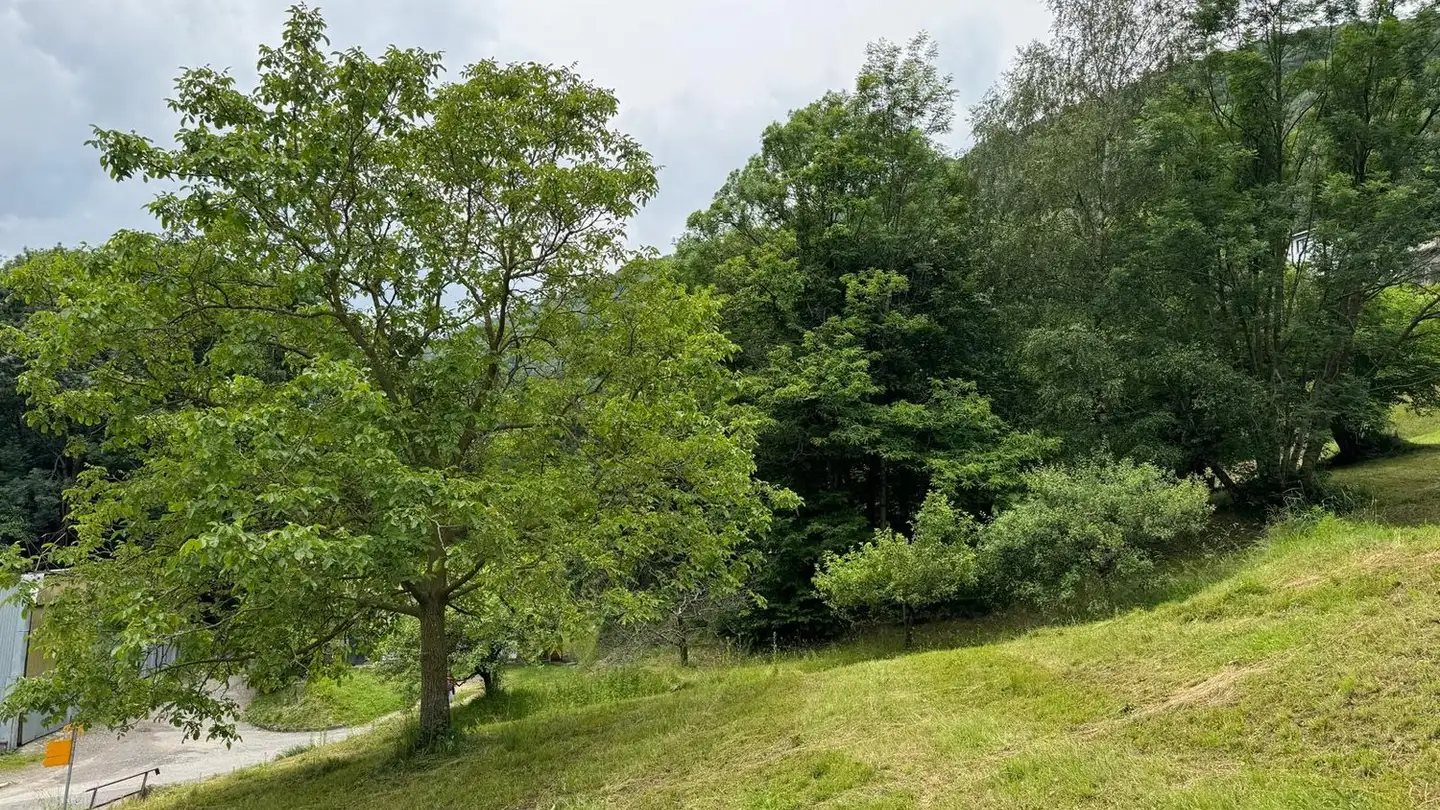 Constructible plot for sale - 6810 Isone - Photo 4