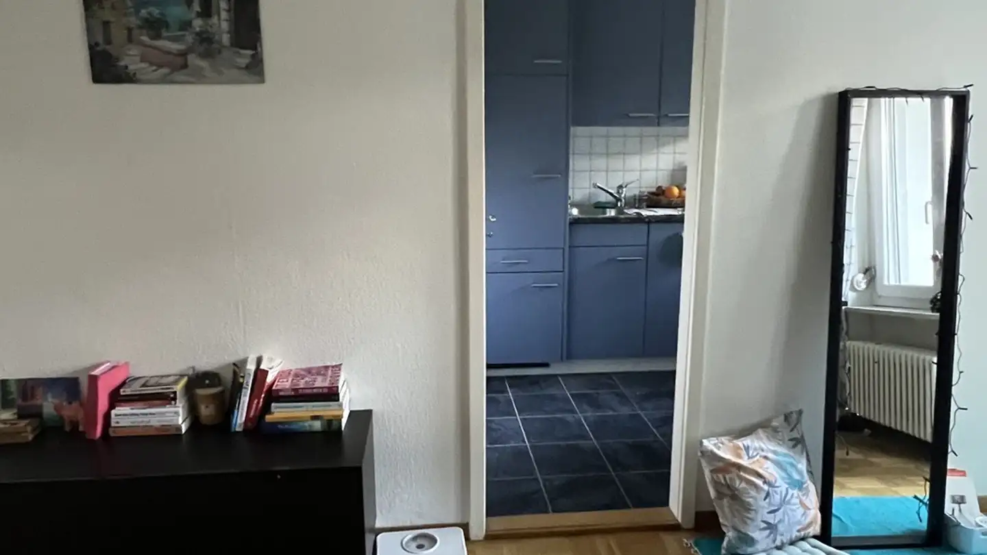 Wohnung mieten - 8046 Zürich - Foto 4