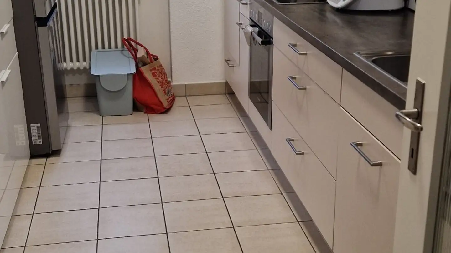 Appartamento in affitto - Hinterbrunnenstrasse 1, 8312 Winterberg ZH - Photo 3