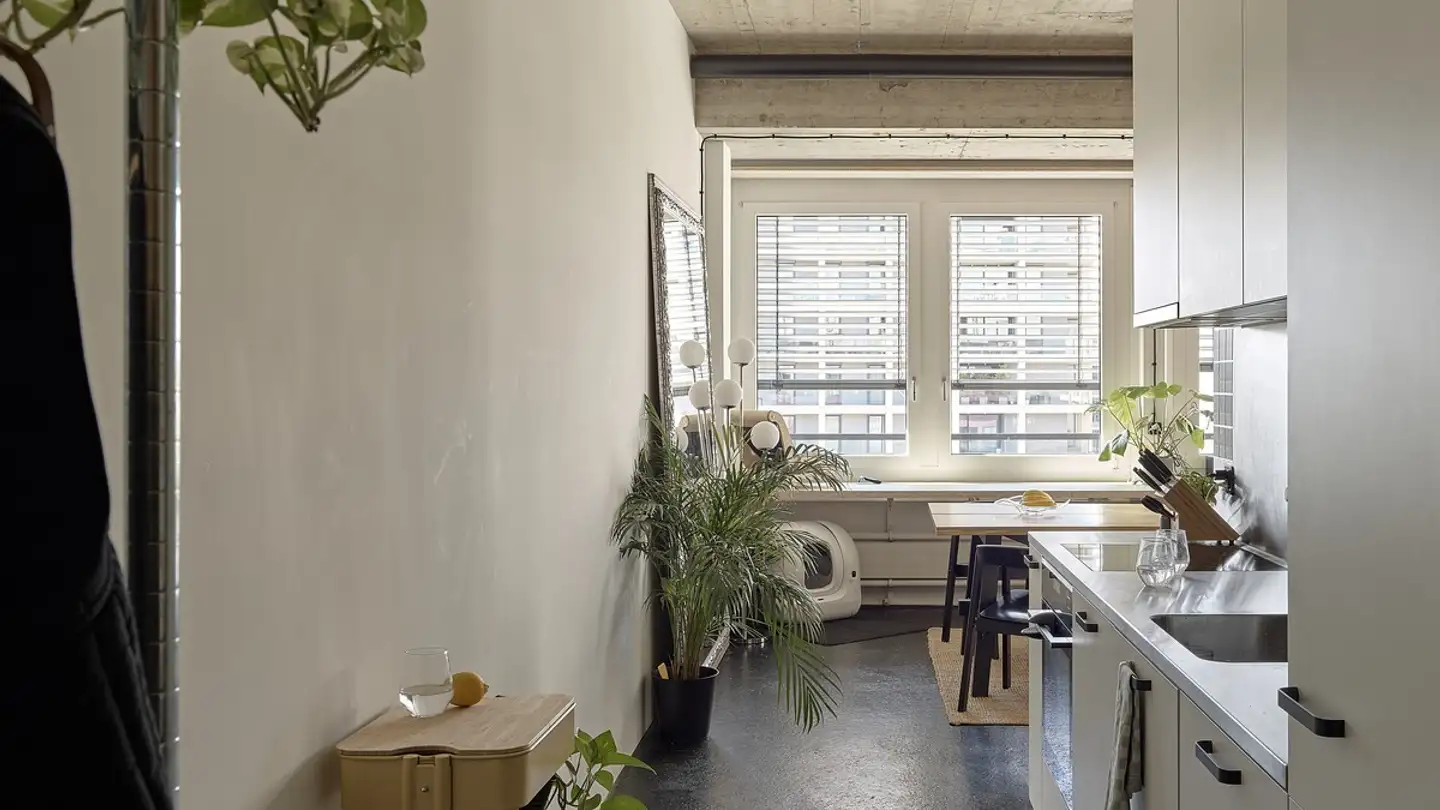 Appartamento in affitto - Schärenmoosstrasse 80, 8052 Zürich - Foto 3