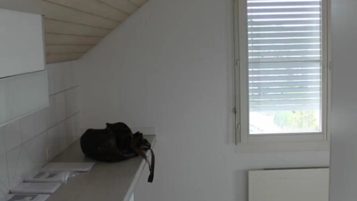 Apartment for rent - Storchenstrasse, 8570 Weinfelden - Photo 4