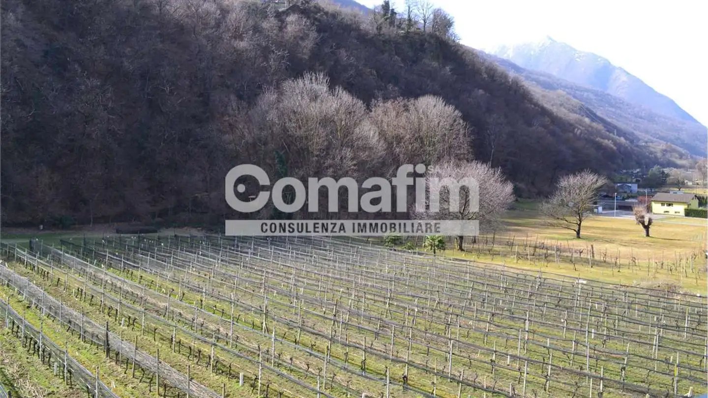 Apartment for sale - 6593 Cadenazzo - Photo 3