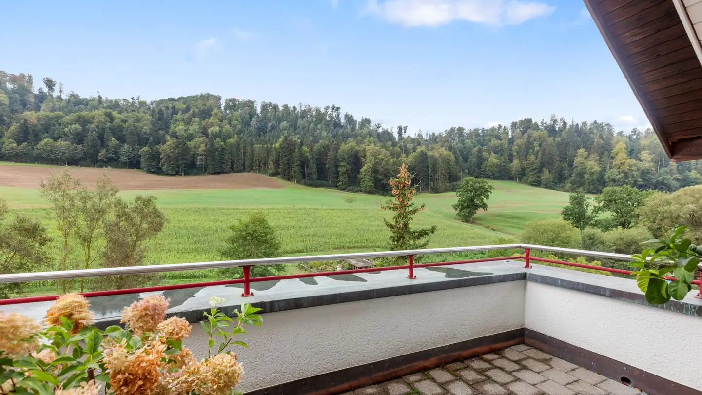 Villa for sale - Mettlenstrasse 6, 8488 Turbenthal
