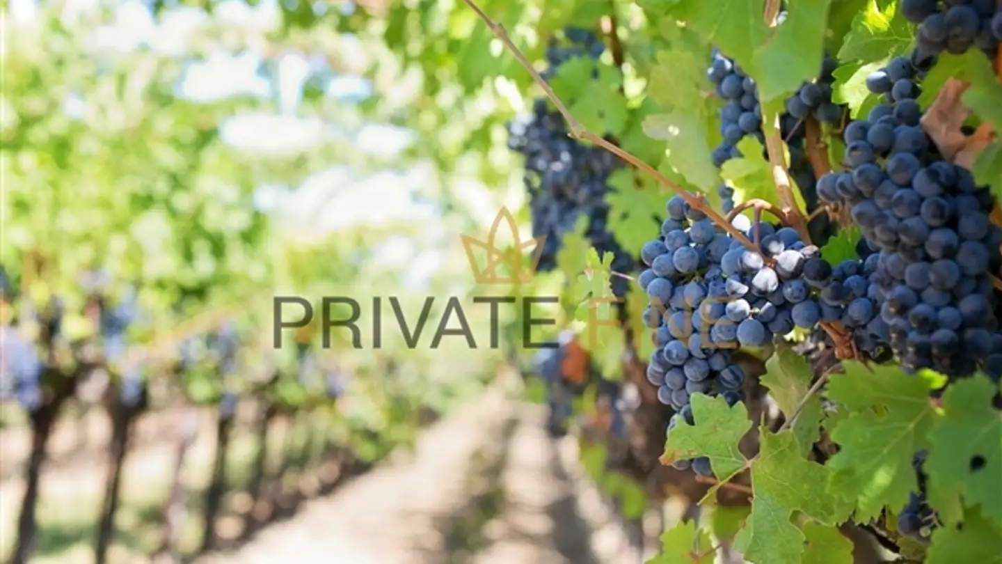 Appartamento in vendita - 6833 Vacallo - Photo 3