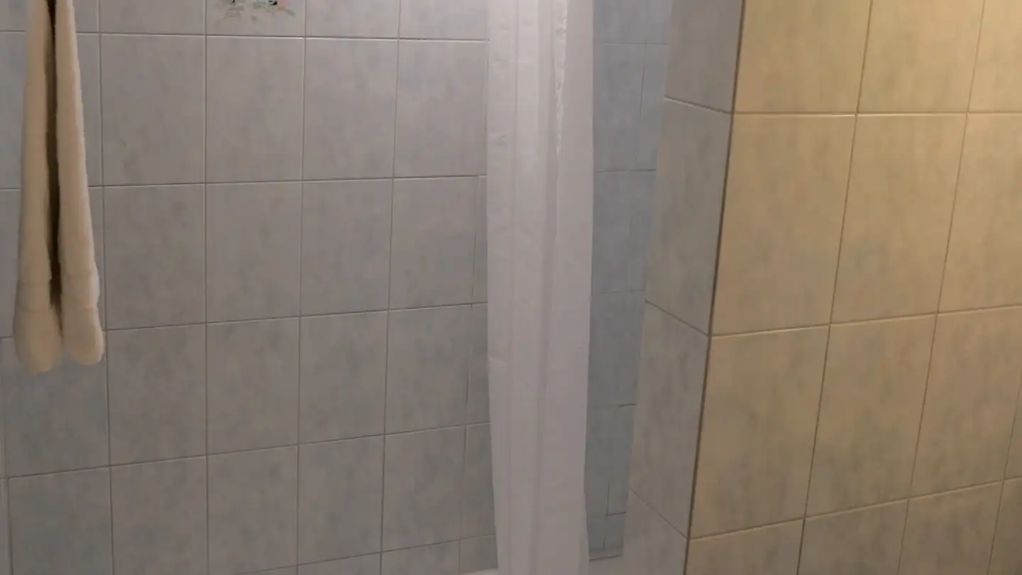 Single room for rent - 8934 Knonau - Photo 3