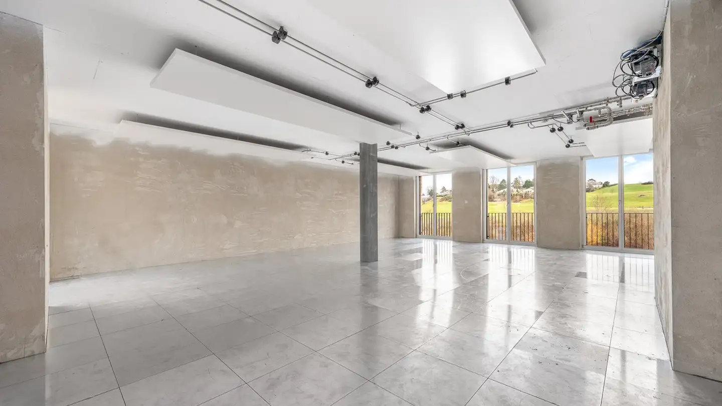 Bureau à louer - Moosstrasse 31, 8134 Adliswil - Photo 3