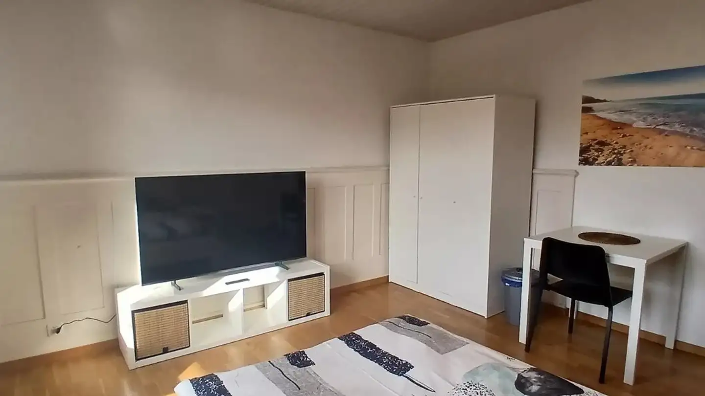 Chambre à louer - Schulhausstrasse, 8002 Zürich - Photo 2