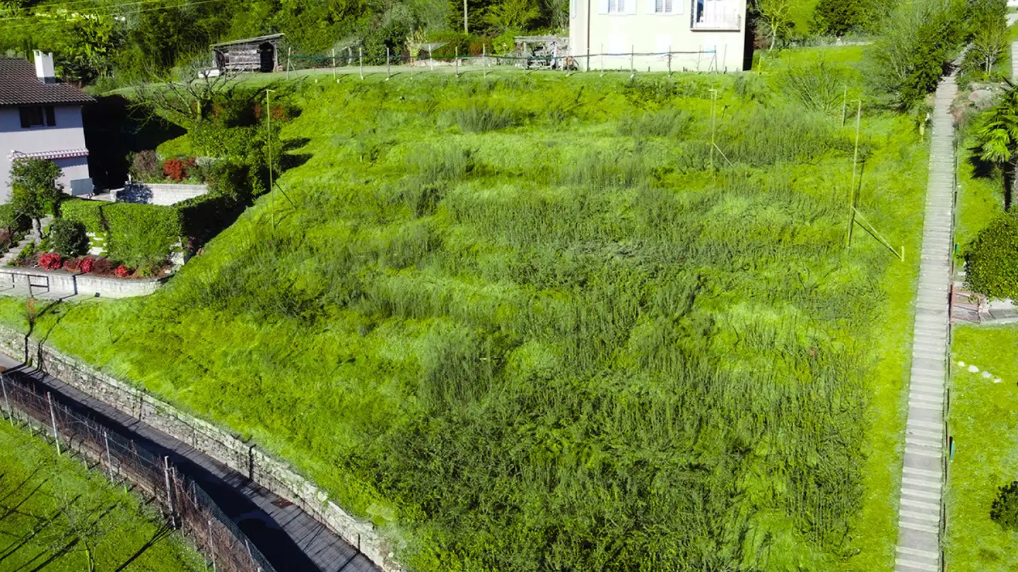 Terreno edificabile in vendita - 6991 Neggio - Photo 4