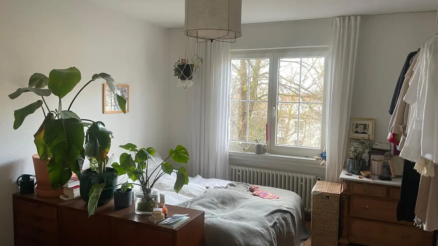 Chambre à louer - 8032 Zürich