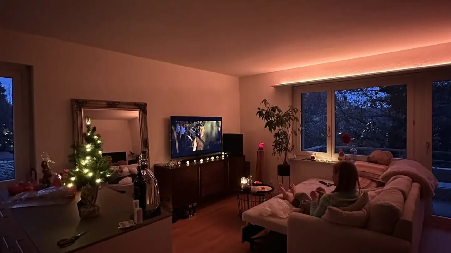 Appartement à louer - 8800 Thalwil