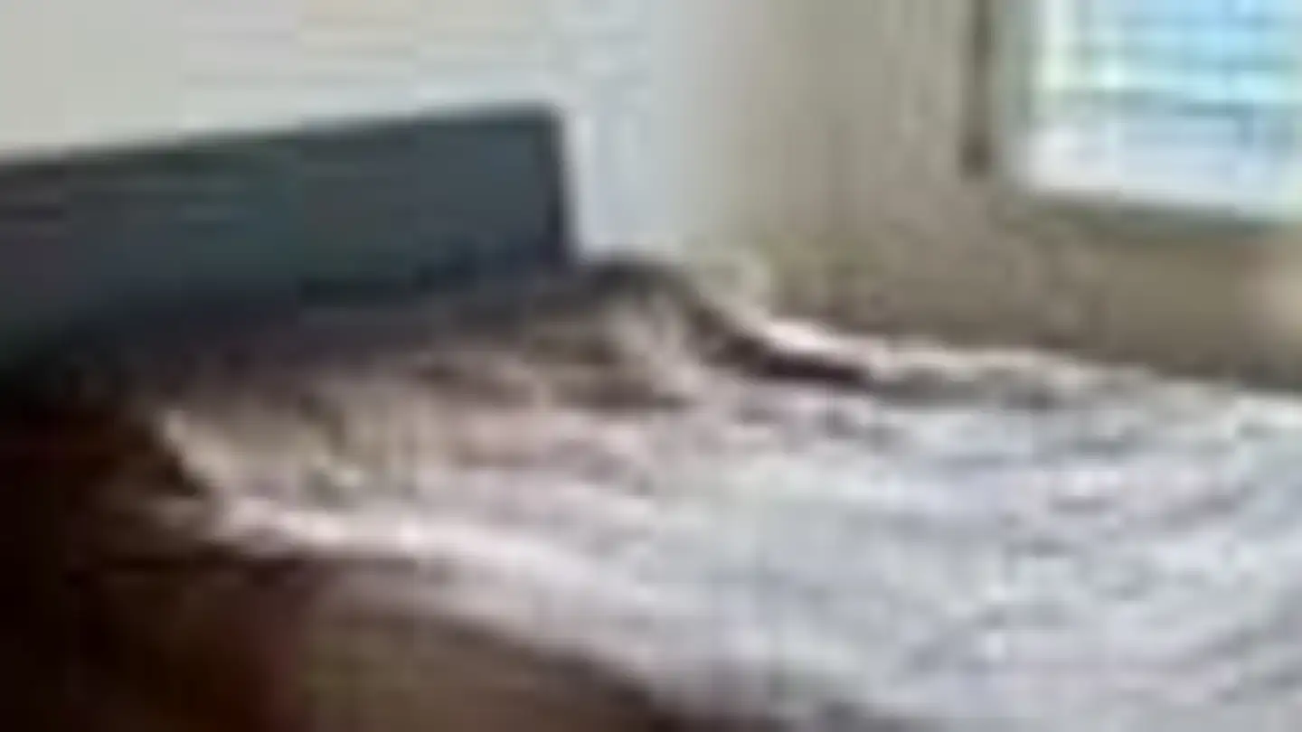 Wohnung mieten - Scheuerrain 3, 3007 Bern - Foto 3