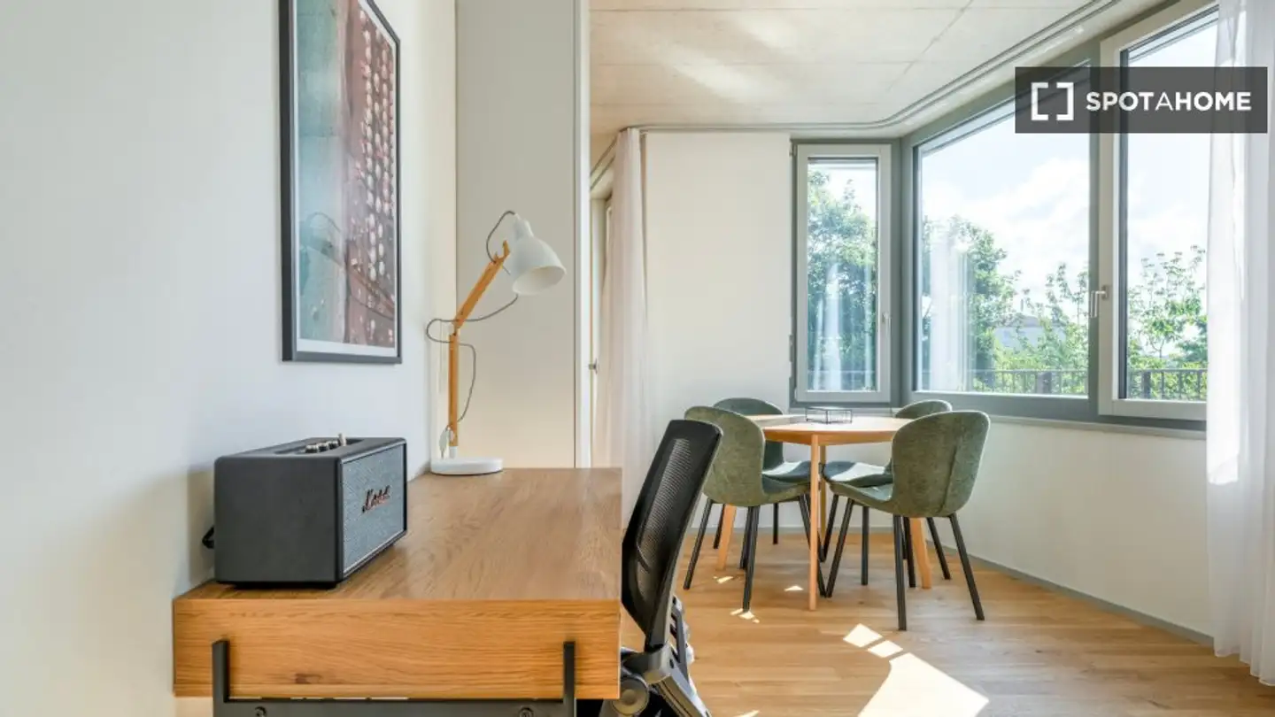 Appartamento in affitto - 8050 Zürich - Foto 4