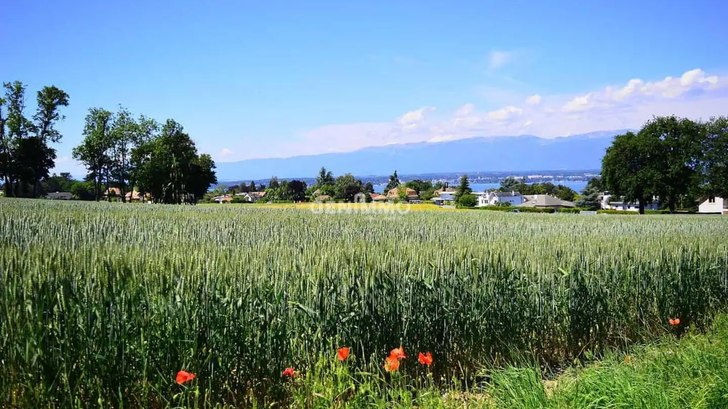 Stepped house for sale - 1247 Anières