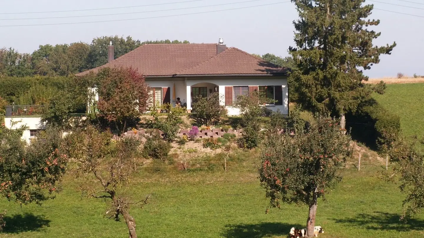 Single house for rent - Brugera 7, 3186 Düdingen