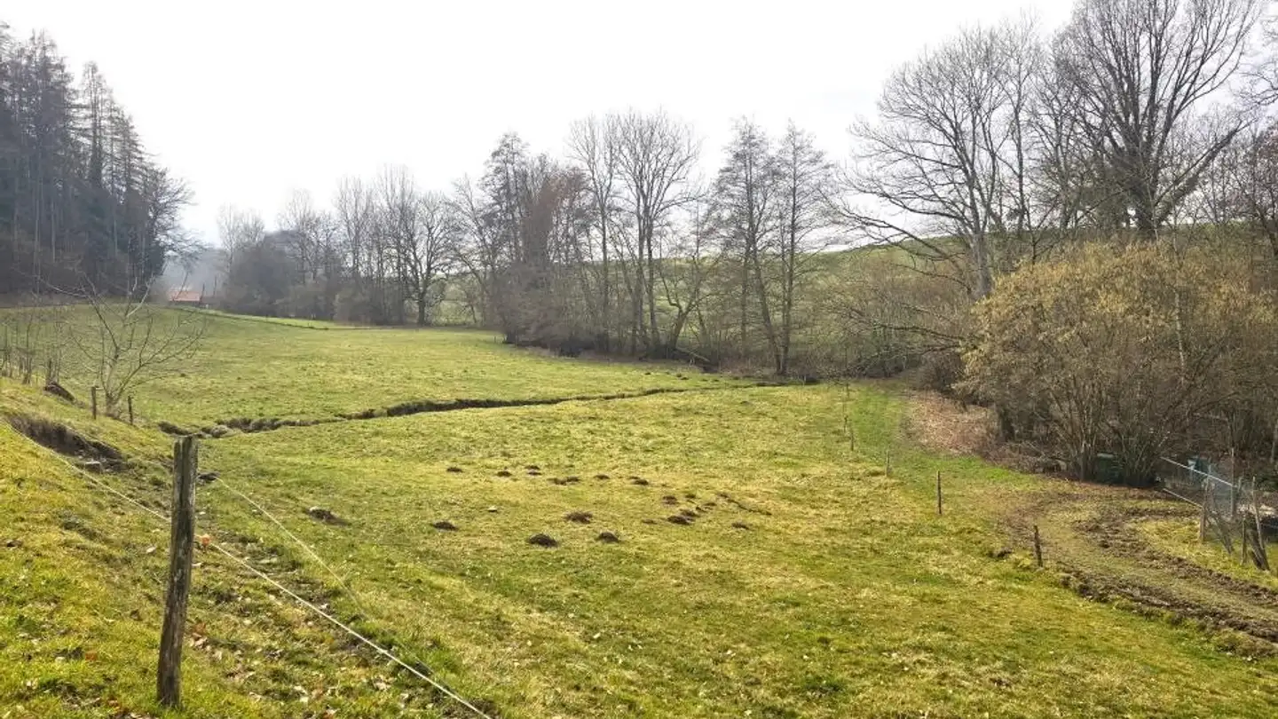 Casa singola in vendita - 1415 Molondin - Photo 4