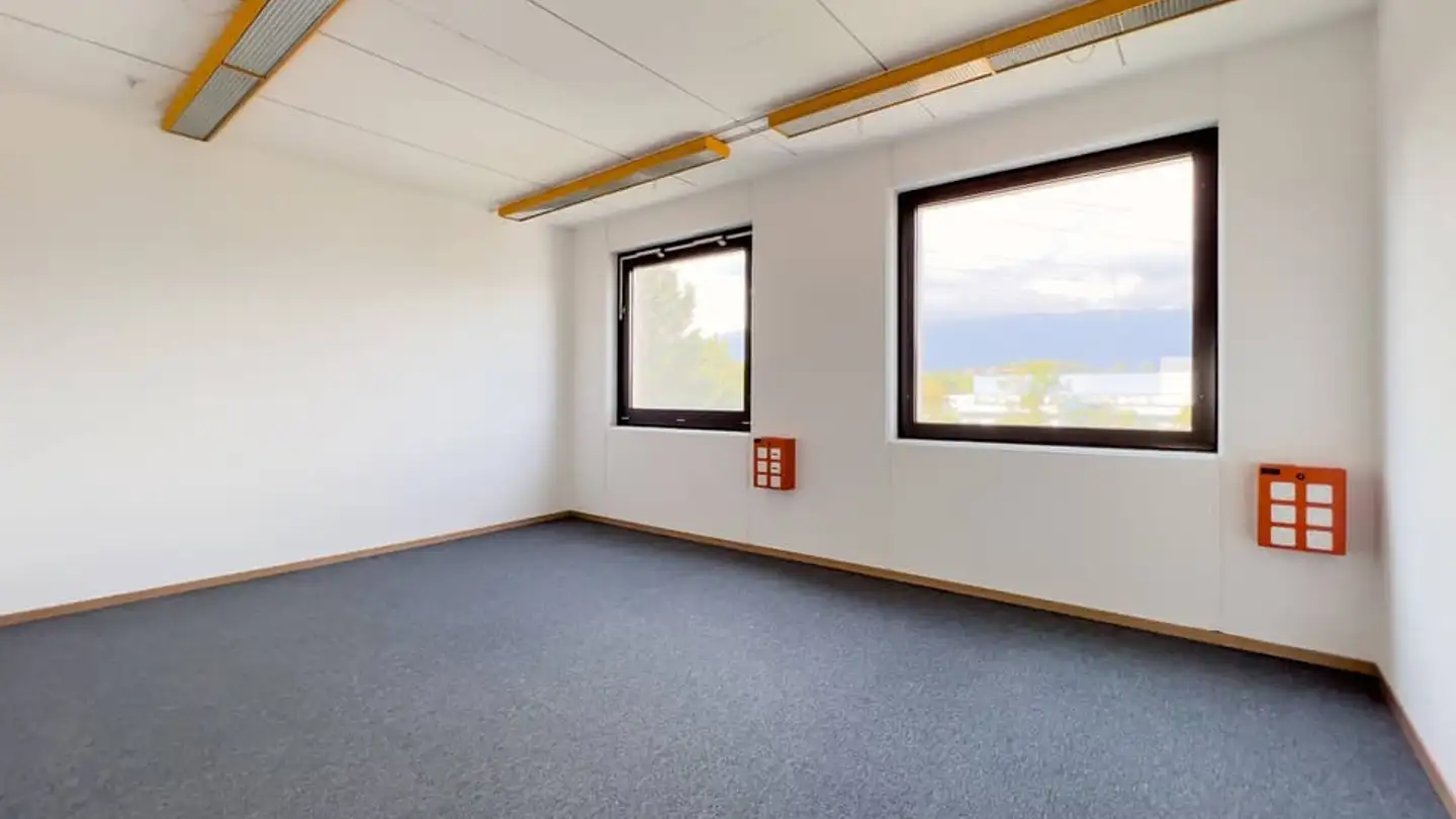 Commercial à louer - Rue Du Pré-De-La-Fontaine 19, 1242 Satigny - Photo 4