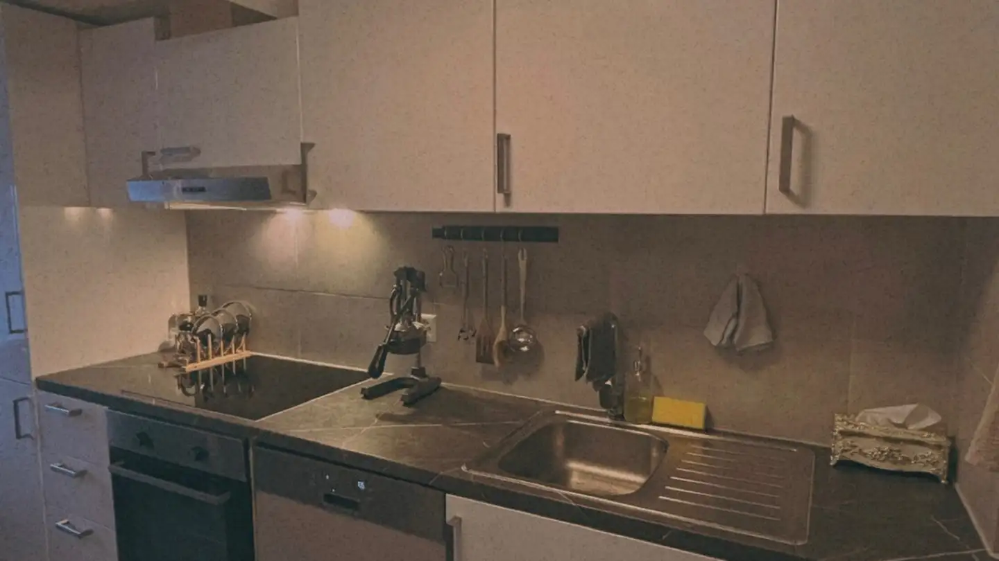 Appartamento in affitto - Güetlistrasse 3, 8132 Hinteregg - Foto 3