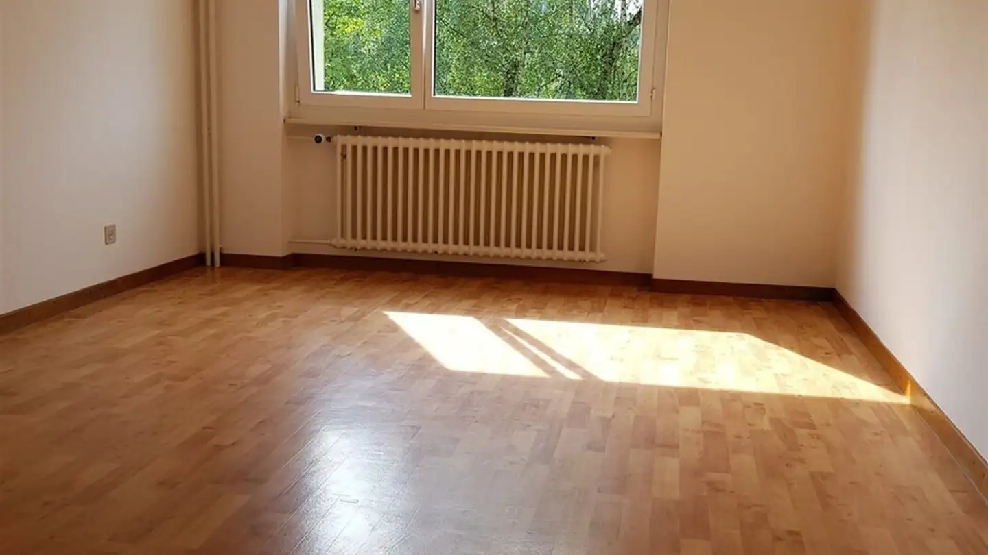 Appartamento in affitto - Aarburgerstrasse 197, 4600 Olten - Foto 3