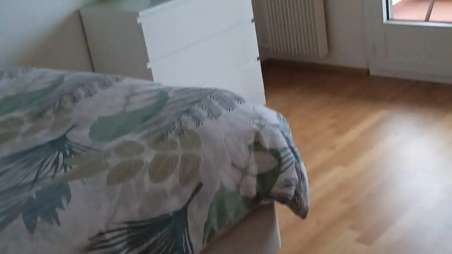 Single room for rent - 1804 Corsier-sur-Vevey - Photo 2