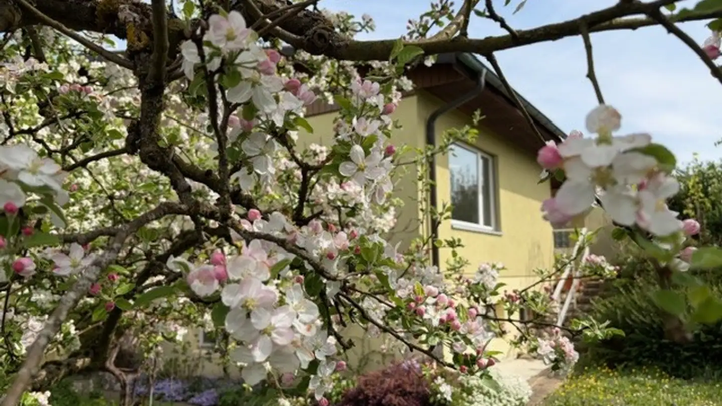 Single house for sale - Rue Du Canal 3, 2822 Courroux - Photo 4