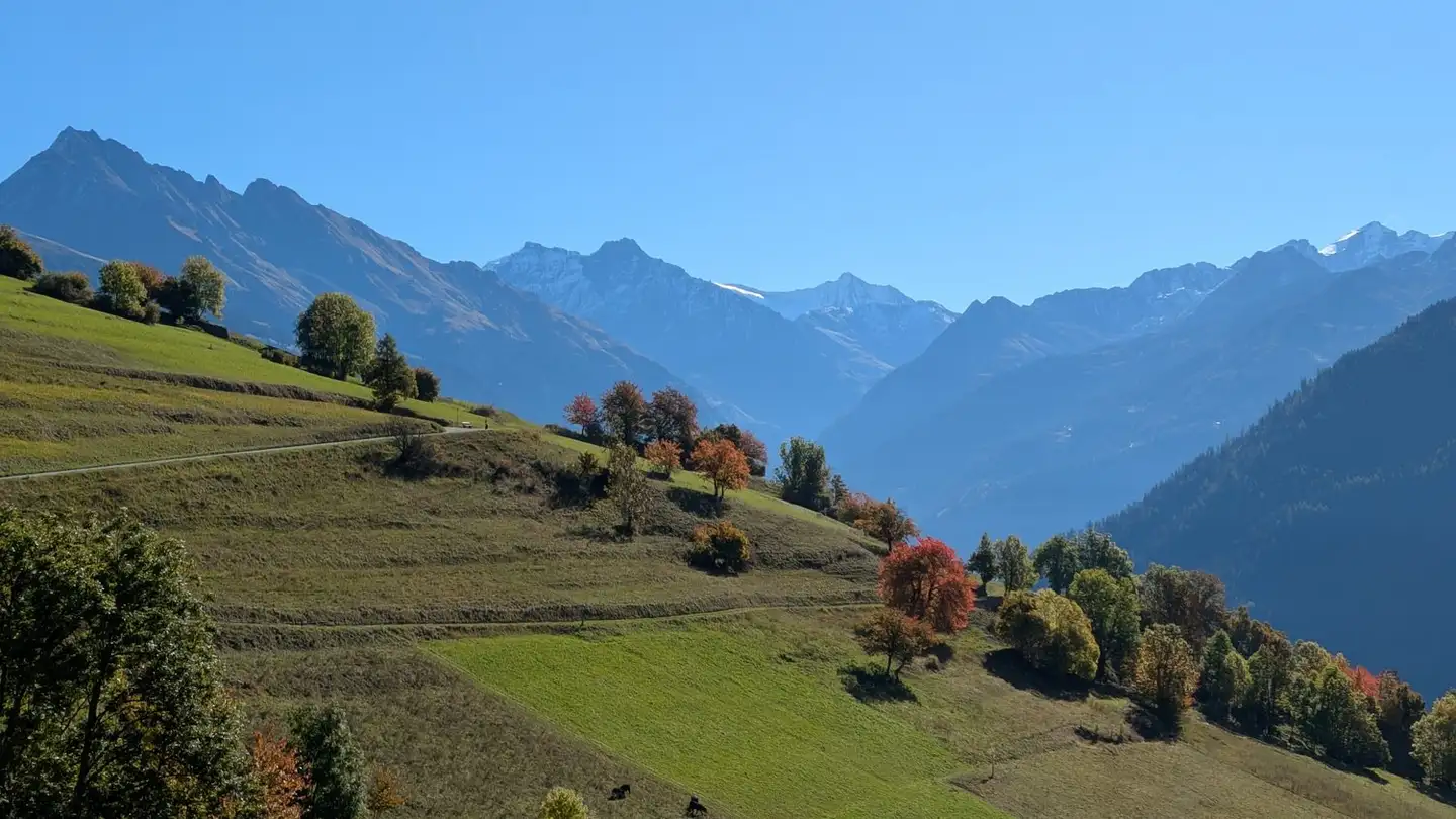 Wohnung mieten - 1942 Levron