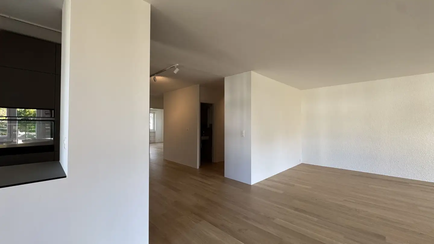 Appartement à vendre - Gemeindestrasse, 8967 Widen - Photo 4