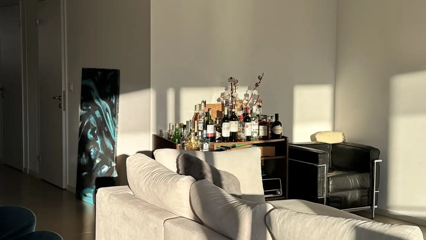 Single room for rent - Pfingstweidstrasse 94, 8005 Zürich