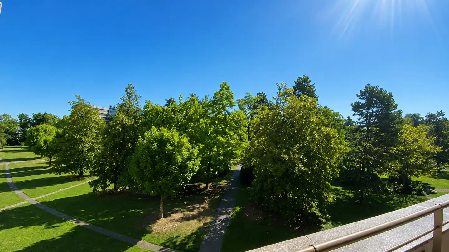 Appartamento in affitto - Chemin Du Pommier 20, 1218 Le Grand-Saconnex - Foto 3