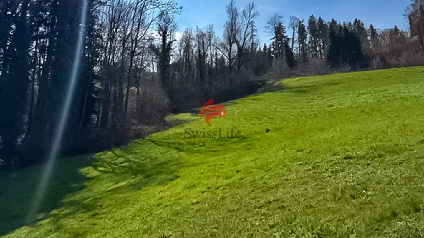 Terrain constructible à vendre - Landquart, 9305 Berg SG - Photo 4