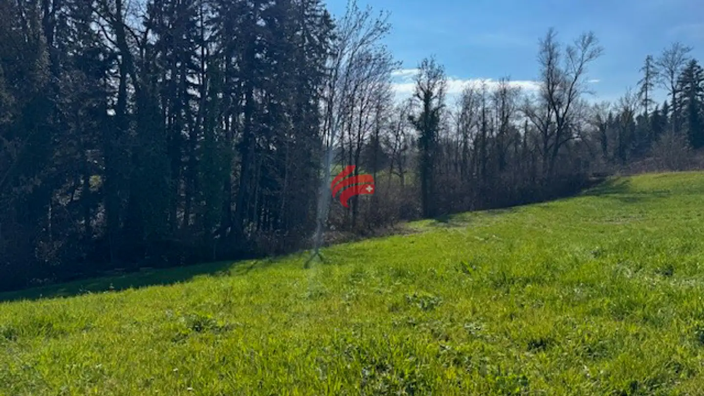 Terrain constructible à vendre - Landquart, 9305 Berg SG - Photo 3