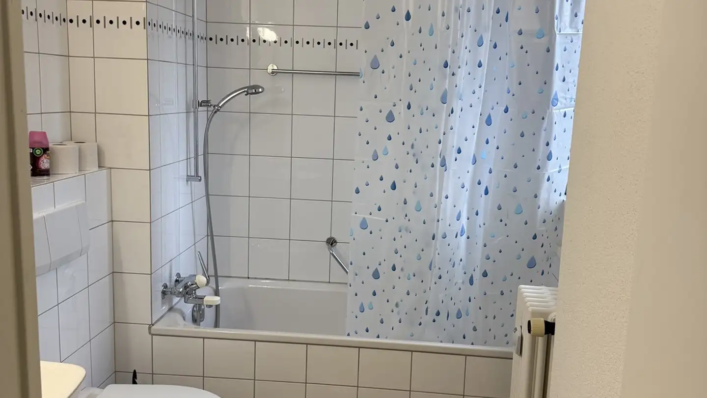 Single room for rent - Matthofring 3, 6005 Luzern - Photo 3