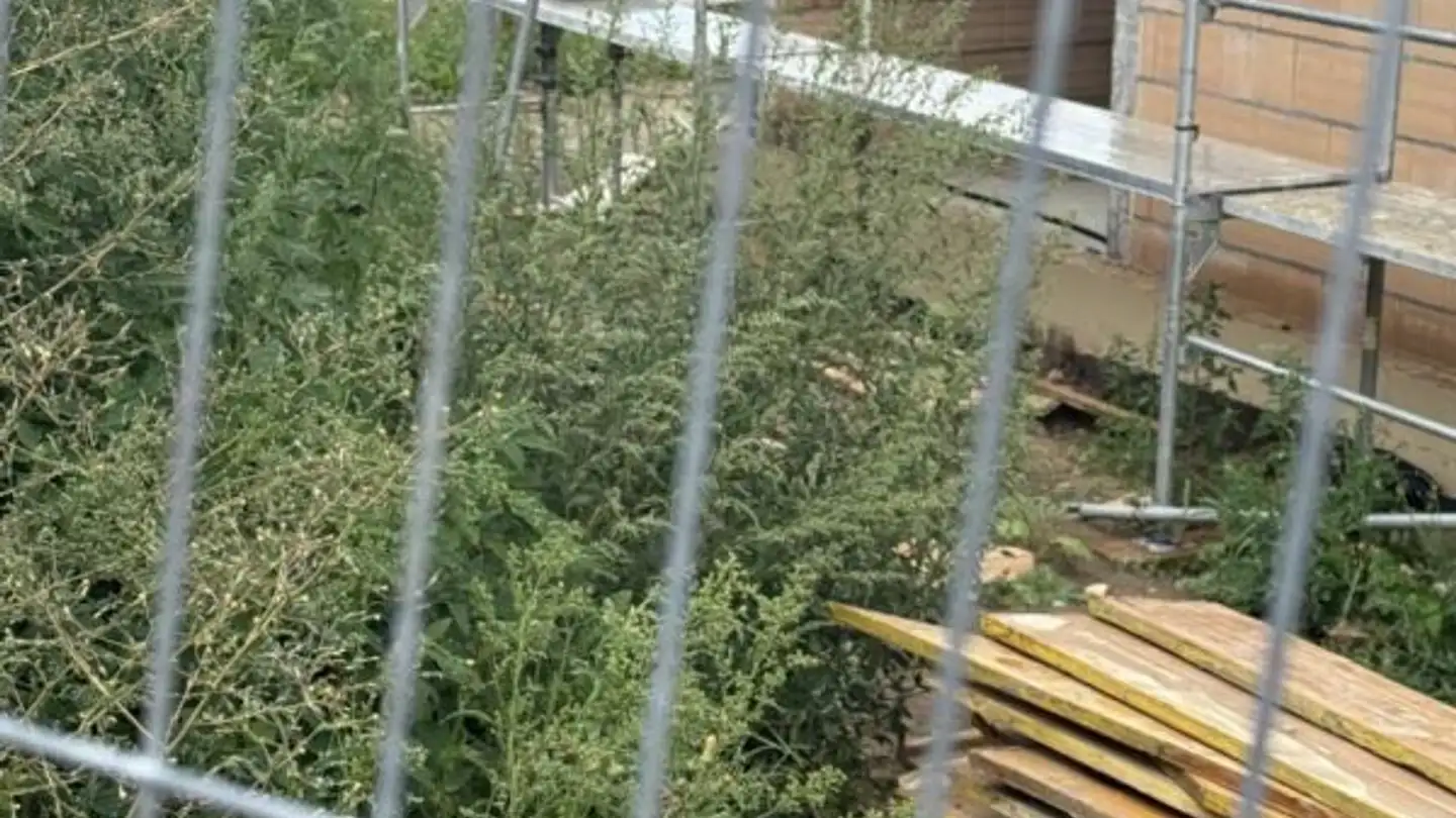 Appartamento in vendita - 1692 Massonnens - Photo 2